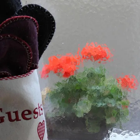 La Grange De Soulalex 木屋